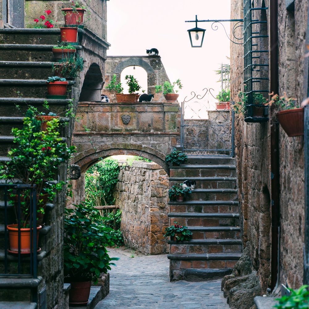 A stepped lane in Civita with flowers and a stone arch