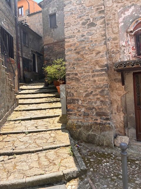 Worn stone steps between old houses