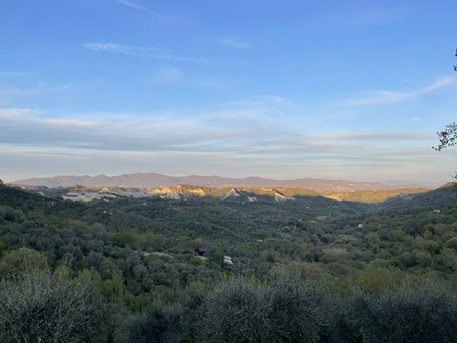 Ólífulundir í dalnum